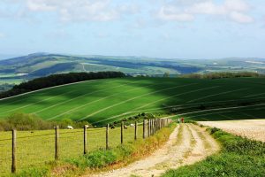 South downs national park in Sussex.